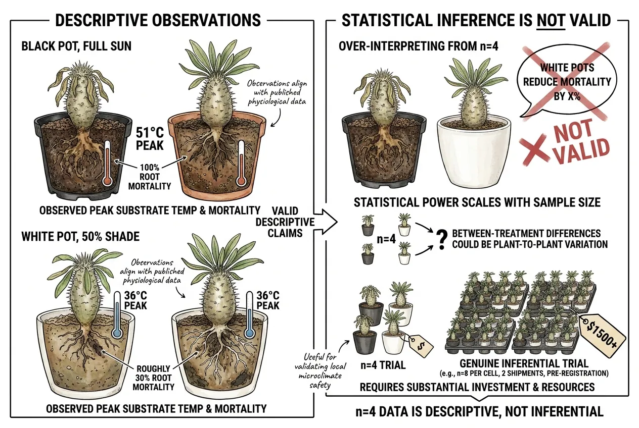 Four plants one per condition unable to prove a general cause and effect